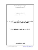 Ảnh hưởng của đô thị hóa đến việc làm của nông dân tỉnh vĩnh phúc 