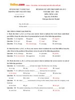 Đề khảo sát chất lượng lần 2 năm 2016 môn Tiếng Anh lớp 10 trường THPT Nguyễn Trãi, Thái Bình