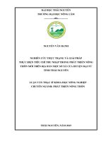 Nghiên cứu thực trạng và giải pháp t hực hi ện t i êu chí t hu nhập t rong phát t ri ển nông thôn mới trên địa bàn một số xã của huyện đại từ tỉnh thái nguyên