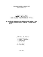 Tiểu luận môn hành vi người tiêu dùng phân tích sự ảnh hưởng của nhóm ngưỡng mộ lên hành vi người tiêu dùng trong chiến dịch “CORNETTO  TAYLOR  SWIFT RED” 