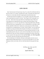 Nhà 9 tầng lô 2b   ô 1 đường ngã 5 sân bay cát bi 