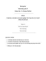 Tiểu luận môn marketing quốc tế  trình bày cách thức mà doanh nghiệp việt nam đã xử lý vấn đề chống bán phá giá 