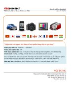 WS báo cáo nhận thức người tiêu dùng về hàng điện tử