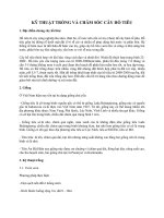 ky thuat trong va cham soc ho tieu