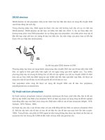 Bài giảng các kỹ thuật chuyển gen vào tế bào động vật, thực vật, vi sinh vật và tạo ADN tái tổ hợp