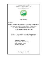 Đặc Điểm Bệnh Lý, Lâm Sàng Của Bệnh Do Đơn Bào Histomonas Melegridis Gây Ra Ở Gà Tại Tỉnh Thái Nguyên Và Thử Nghiệm Thuốc Điều Trị