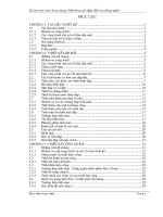 thiết kế sơ bộ đập đất và cống ngầm