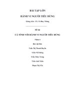 Tiểu luận môn hành vi người tiêu dùng cá tính với hành vi người tiêu dùng 