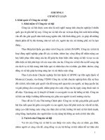 VAI TRÒ CỦA CÔNG TÁC XÃ HỘI TRONG THỰC HIỆN  TÁM MỤC TIÊU THIÊN NIÊN KỶ