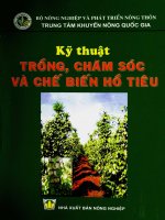 cách thuật trồng, chăm sóc và chế biến cây hồ tiêu (viện khuyến nông quốc gia)