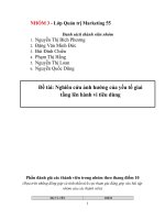 Nghiên cứu ảnh hưởng của yếu tố giai tầng lên hành vi tiêu dùng 