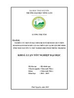 Nghiên Cứu Một Số Đặc Điểm Dịch Tễ Bệnh Do Giun Tròn Oesophagostomum Spp. Gây Ra Trên Lợn Tại Tỉnh Thái Nguyên Và Thử Nghiệm Biện Pháp Phòng Trị Bệnh