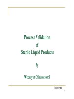 Đề cương thẩm định quy trình sản xuất thuốc tiêm của FDA