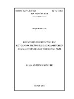 Hoàn thiện tổ chức công tác kế toán môi trường tại các doanh nghiệp sản xuất trên địa bàn tỉnh Quảng Ngãi