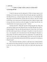 Ý THỨC tự học TIẾNG ANH của SINH VIÊN