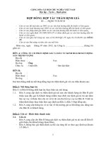 Hợp đồng hợp tác của công ty www.thinhvuongcorp.com.vn