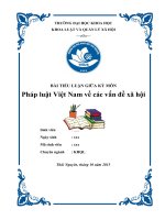 Tiểu luận giữa kỳ môn: Pháp luật Việt Nam về các vấn đề xã hội (10đ)