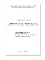 skkn kinh nghiệm tổ chức thực hiện xây dựng “ trường học thân thiện, học sinh tích cực 