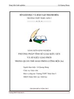 skkn phương pháp tính số loại kiểu gen và số kiểu giao phối trong quần thể ngẫu phối lượng bội (2n) 