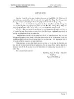 Thiết kế cầu qua sông thao tỉnh phú thọ 