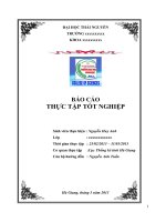 BÁO CÁO THỰC TẬP TỐT NGHIỆP: CÔNG TÁC ĐIỀU TRA BIẾN ĐỘNG DÂN SỐ VÀ KẾ HOẠCH HÓA GIA ĐÌNH 2012  CỦA CỤC THỐNG KÊ TỈNH HÀ GIANG