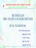 Bài thảo luận môn tái chế và sử dụng chất thải tái chế bùn đỏ