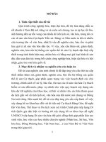 Những di tích khảo cổ học cự thạch ở đồng nai trong khung cảnh cự thạch việt nam và châu á (TT)