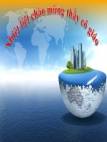 SKKN một số giải pháp phát triển năng lực sáng tạo cho học sinh lớp 11 THPT qua dạy học phần nitơ và photpho  