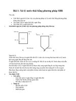 Báo cáo thực hành về Xử lý nước thải