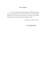 Những di tích khảo cổ học cự thạch ở đồng nai trong khung cảnh cự thạch việt nam và châu á