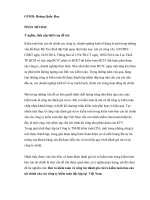 Rủi ro kiểm toán và công tác đánh giá rủi ro kiểm toán báo cáo tài chính của các công ty kiểm toán độc lập tại  Việt Nam.