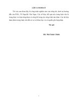 Nghiên cứu đề xuất giải pháp kết cấu hợp lý công trình đê kè bảo vệ bờ sông