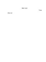 Chất lượng phóng sự trong chương trình thời sự hệ phát thanh có hình – đài tiếng nói việt nam