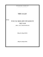 Tài Liệu kinh tế vĩ mô về sự tác động của WTO đến Việt Nam