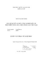 Bảo hộ quyền sở hữu công nghiệp đối với nhãn hiệu hàng hóa theo pháp luật việt nam