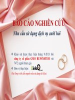 Báo cáo nghiên cứu dịch vụ cuới hỏi