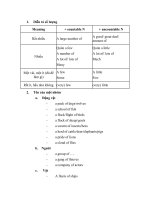 Phân biệt một số từ gây nhầm lẫn trong tiếng anh