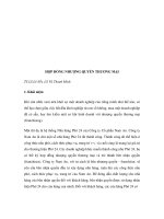 HỢP ĐỒNG NHƯỢNG QUYỀN THƯƠNG MẠI