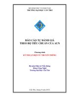 BÁO CÁO TỰ ĐÁNH GIÁ THEO BỘ TIÊU CHUẨN CỦA AUN