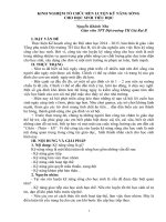 SKKN kinh nghiệm tổ chức rèn luyện kỹ năng sống cho học sinh tiểu học 