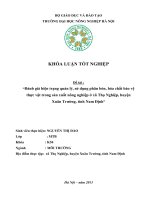 Đánh giá hiện trạng quản lý, sử dụng phân bón, hóa chất bảo vệ thực vật trong sản xuất nông nghiệp ở xã Thọ Nghiệp, huyện Xuân Trường, tỉnh Nam Định