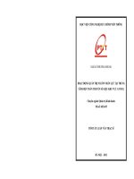 HOẠT ĐỘNG QUẢN TRỊ NGUỒN NHÂN LỰC TẠI TRUNG TÂM ĐIỆN TOÁN TRUYỀN SỐ LIỆU KHU VỰC 1 (VDC1)