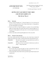 Mẫu 04 - Hướng dẫn thực hiện chuyên đề nghiên cứu