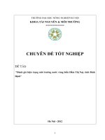 Đánh giá hiện trạng môi trường nước vùng biển Đầm Thị Nại, tỉnh Bình Định