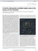 A role for selfgravity at multiple length scales in the process of star formation