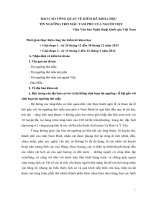 Báo cáo tổng quan về kiểm kê khoa học tín ngưỡng thờ Mẫu Tam phủ của người Việt