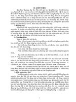 SKKN sử dụng quy tắc chính tả, quy luật chính tả và kĩ xảo chính tả để giúp học sinh lớp 5 học tốt môn chính tả 