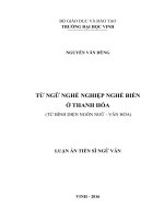 Từ ngữ nghề nghiệp nghề biển ở Thanh Hoá (Từ bình diện ngôn ngữ  văn hóa)
