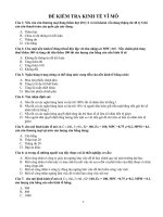 Đề thi thử trắc nghiệm kinh tế vĩ mô