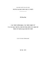 CẤU TRÚC HÌNH học, cấu TRÚC điện tử và các đặc TRƯNG CHUYỂN PHA SPIN của một số PHÂN tử KIM LOẠI CHUYỂN TIẾP 